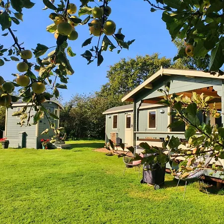 Safari Cornwall Bodmin