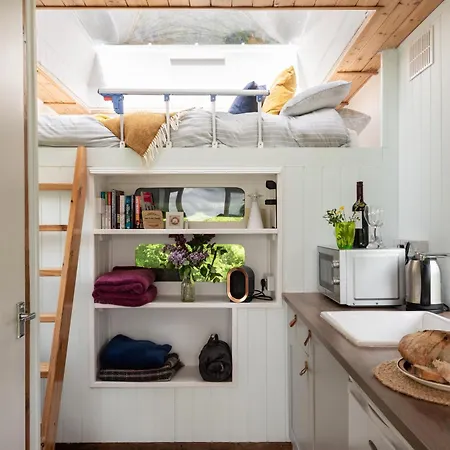 Safari Cornwall Luxury tent